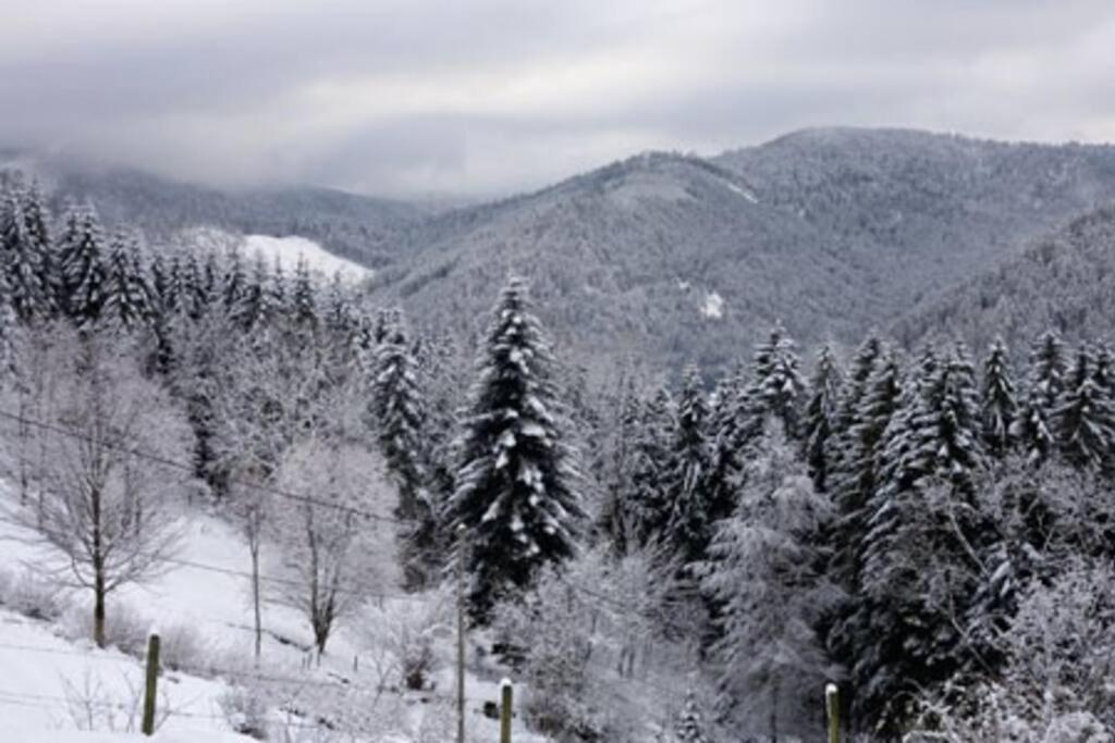 Appartement Dans Vielle Ferme Au Coeur Des Vosges Plainfaing Exterior foto